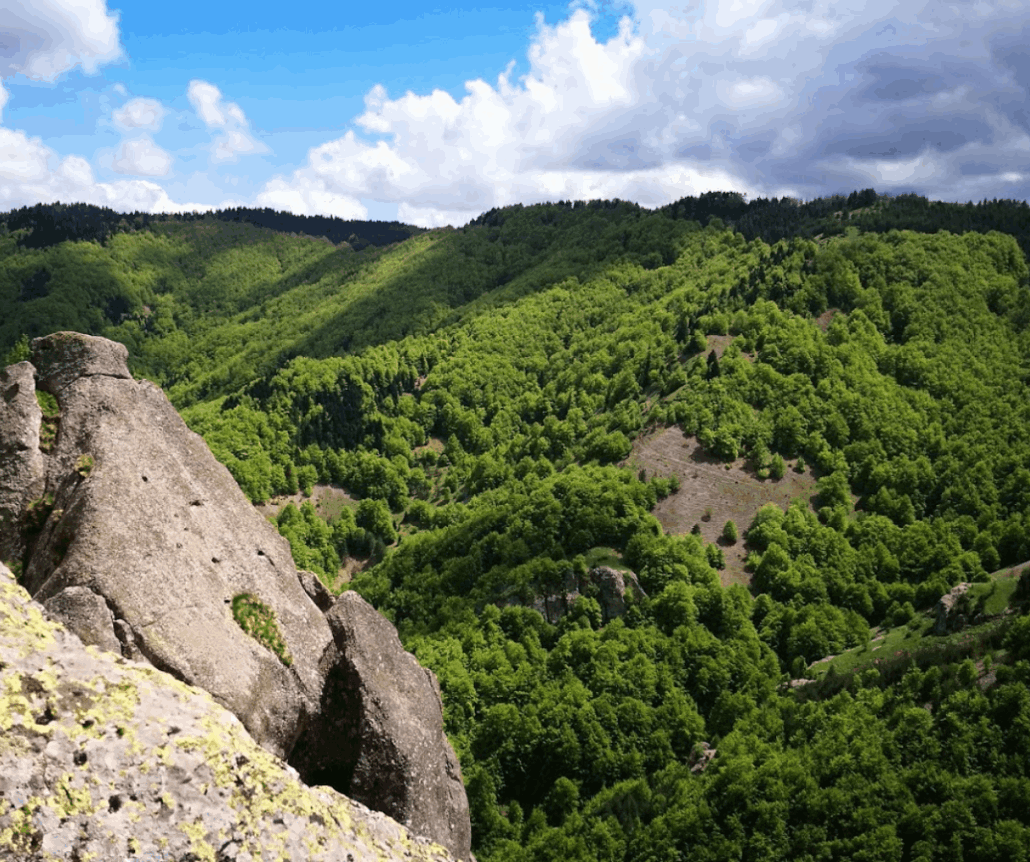 Караджов камък